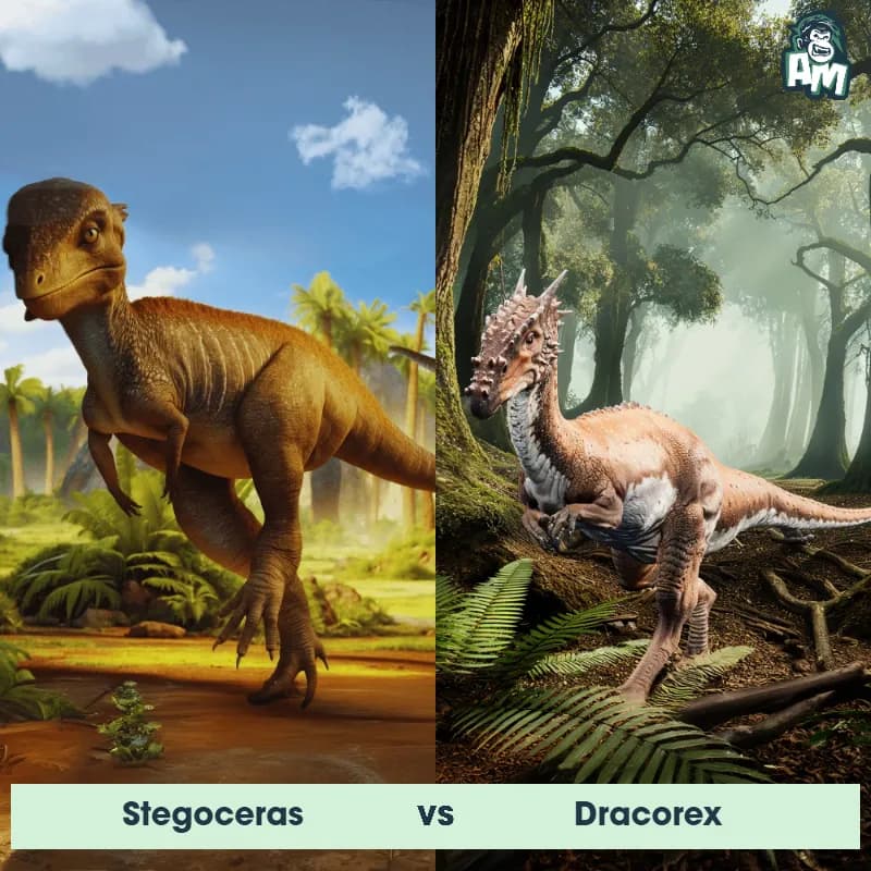 Stegoceras vs Dracorex - Animal Matchup